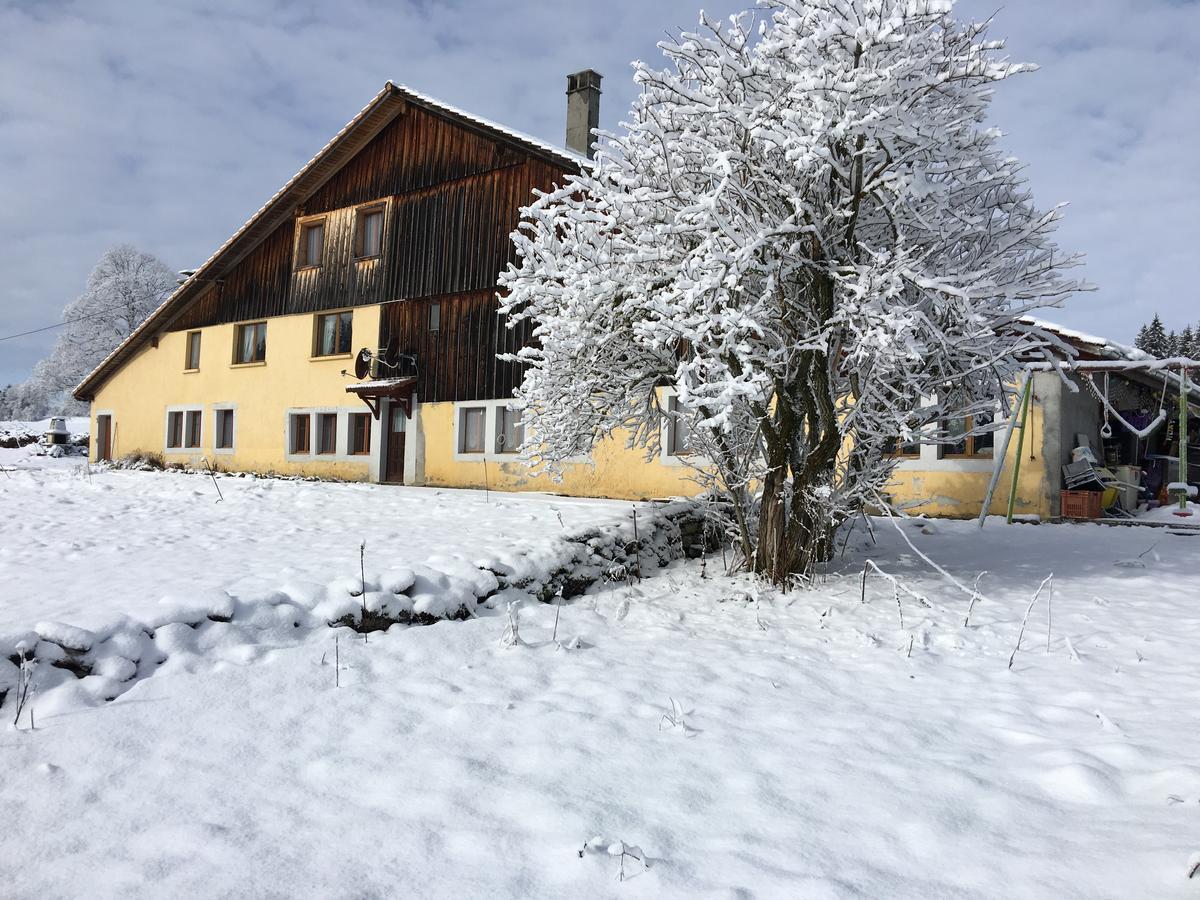 La Dernier Villa La Cote-aux-Fees Exterior photo